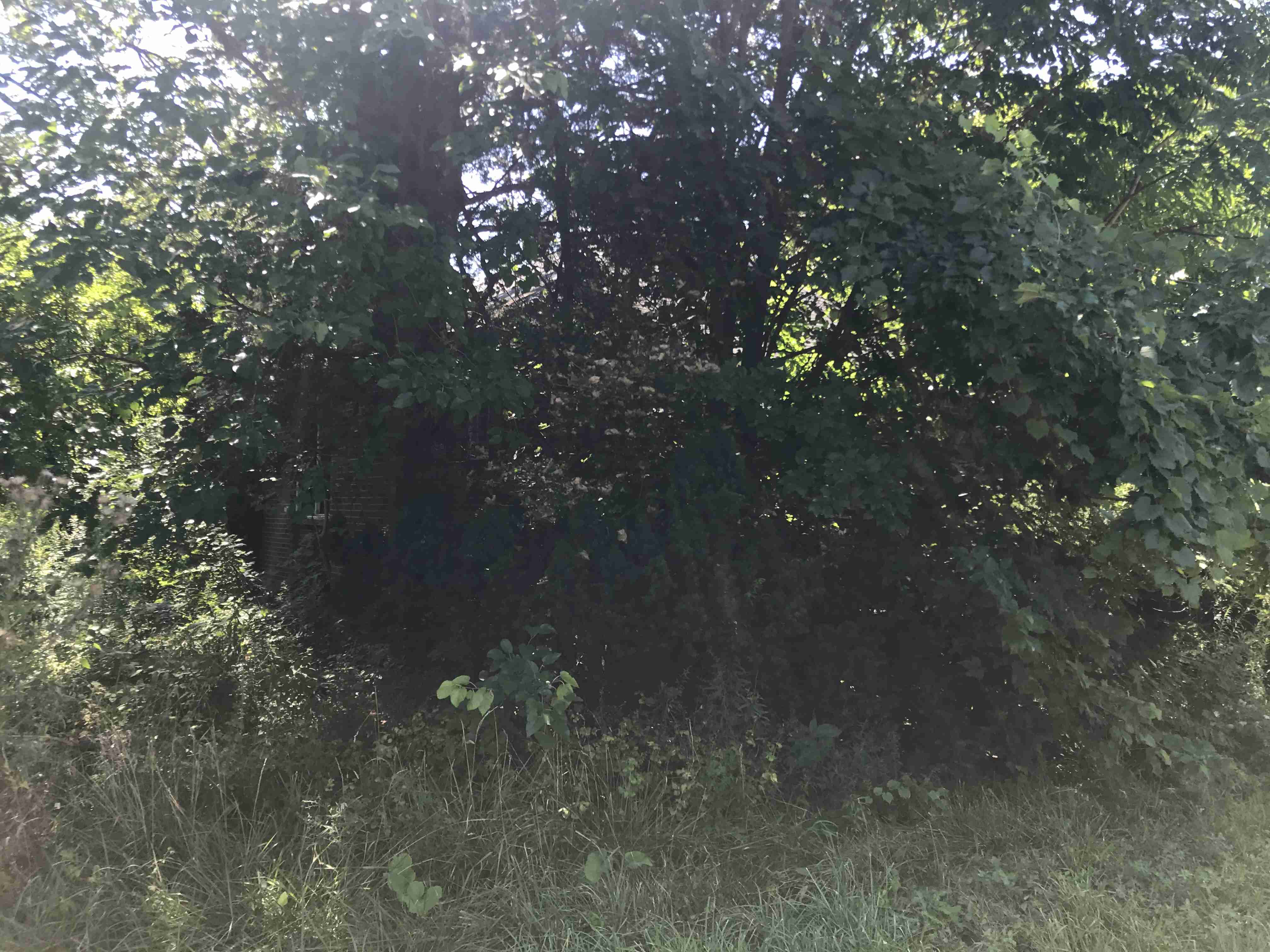 Photo Aug 21, 1 13 11 PM.jpg